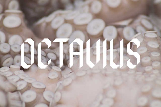 Lettertype “Octavius” - Typeface design